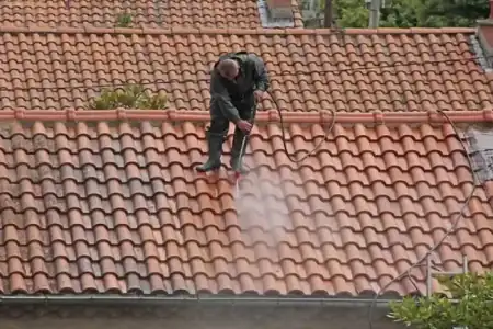 Nettoyage et démoussage de toiture à Plassac à Plassac